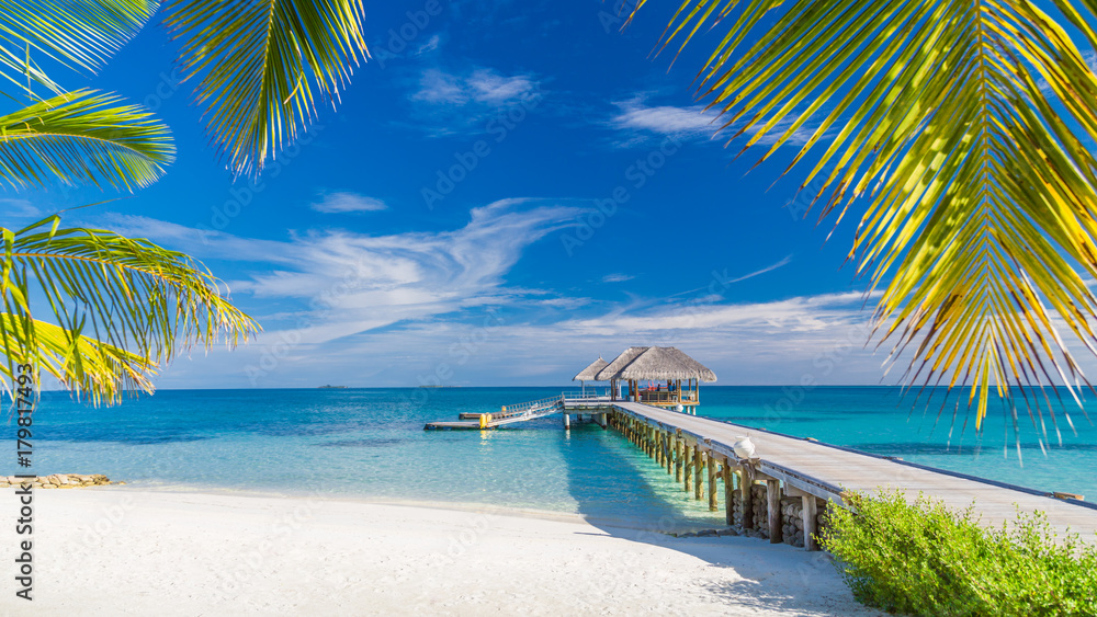 Perfect beach view. Summer holiday and vacation design. Inspirational tropical beach, palm trees and white sand. Tranquil scenery, relaxing beach, tropical landscape design. Moody landscape